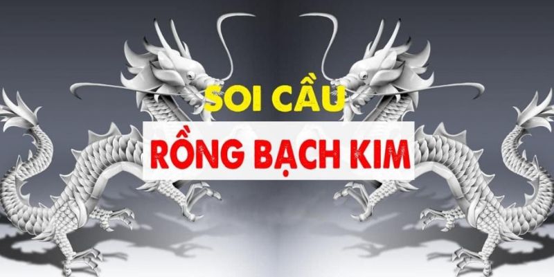 Khái niệm về soi cầu rồng bạch kim 666